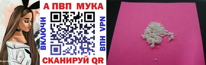Alfa_PVP СК Калининград
