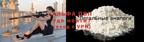 стаф Белоозёрский