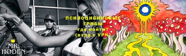 круглые Белокуриха