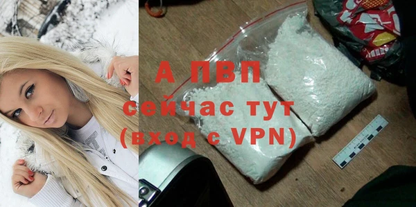 круглые Белокуриха