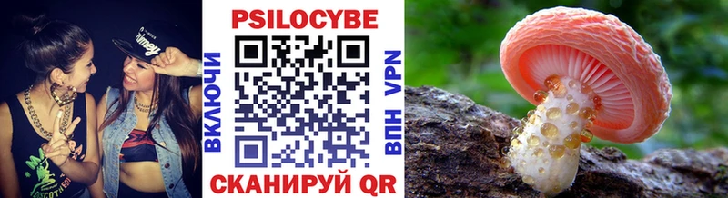 Псилоцибиновые грибы прущие грибы Калининград