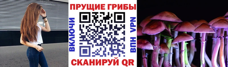 Псилоцибиновые грибы прущие грибы Калининград